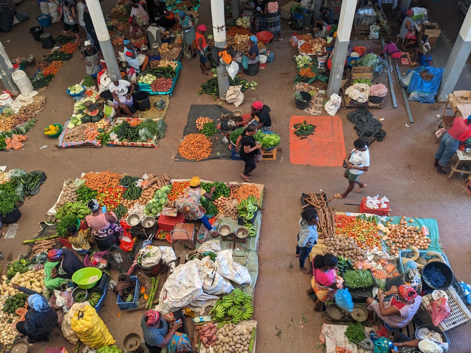 Service: Economic Resilience
